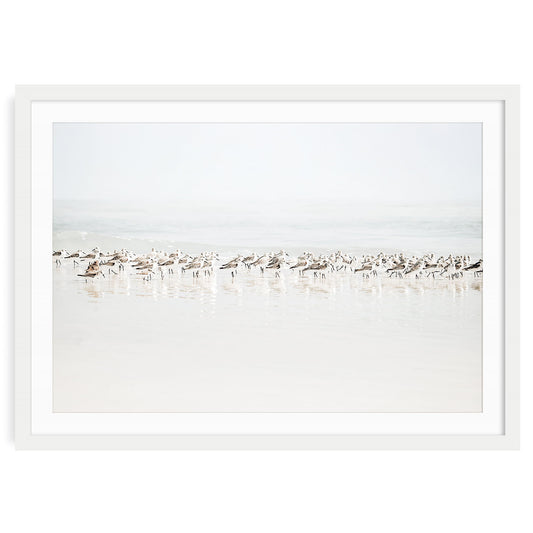 Sandpipers walking along a sandy beach with gentle ocean waves in the background coastal wall art print
