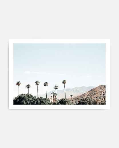 Sunny Grove – Palm Springs Wall Art
