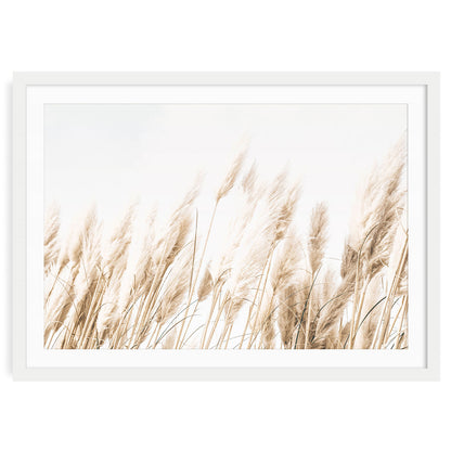 A neutral-toned photograph of gentle beach grasses under natural light, ideal for boho, coastal, and minimalist home decor.