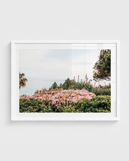 the background, and a light sky, framed in a white frame.