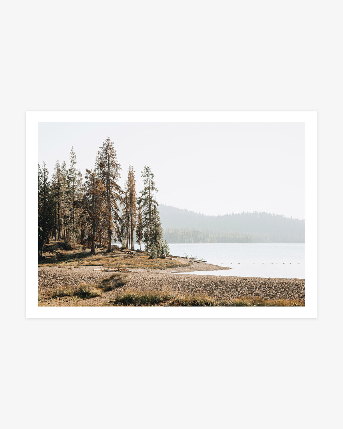 Northern California lake landscape photography featuring a sandy shoreline, tall pine trees and softly layered forested hills beside calm water.