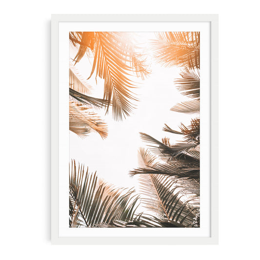 Tropical Summer Palms Fine Art Print