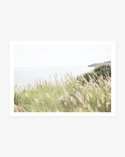 Malibu coastal landscape photography featuring sunlit ornamental grasses overlooking the softly shimmering Pacific Ocean in pale natural tones.