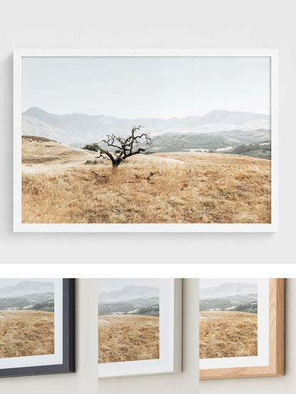 Golden Terrain