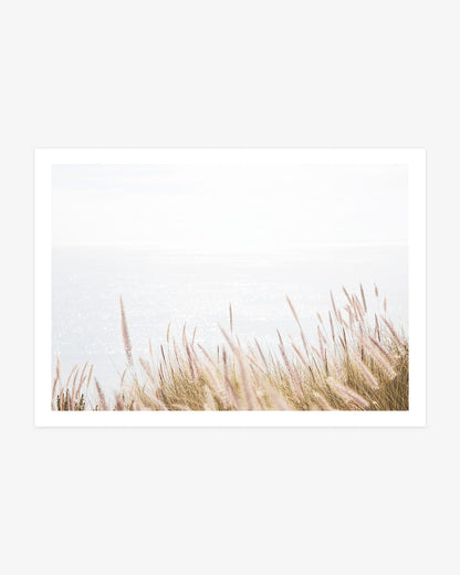 Southern California coastal photography featuring pink fountain grass rising above a sunlit Pacific Ocean in soft blush, gold and pale blue tones.