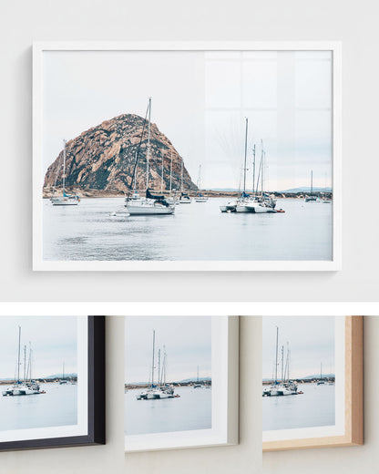 Harbor Calm