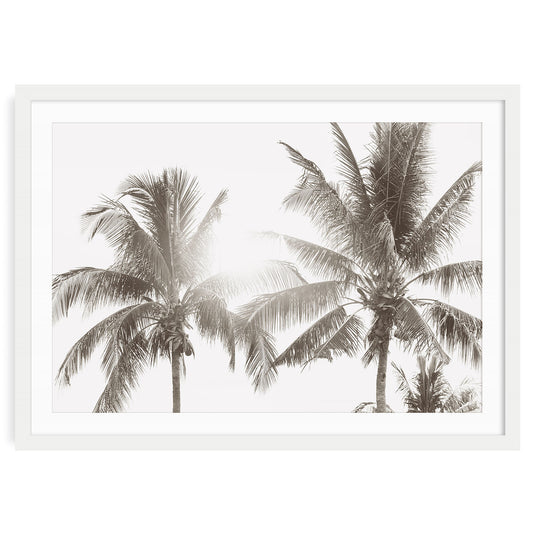 Hawaiian palm trees in softly muted tones fine art photography print