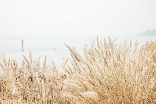 Along the Bluff