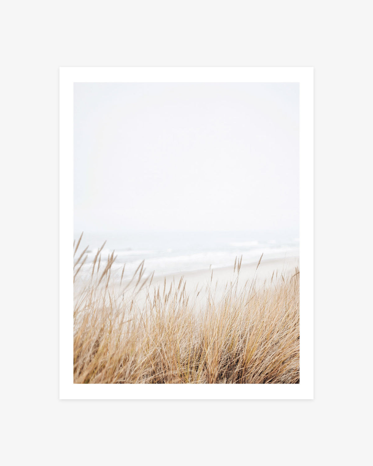 Central California Coast photography featuring golden beach grass in the foreground with a softly blurred ocean and pale coastal sky beyond.