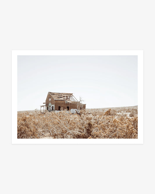 Lost Desert Homestead