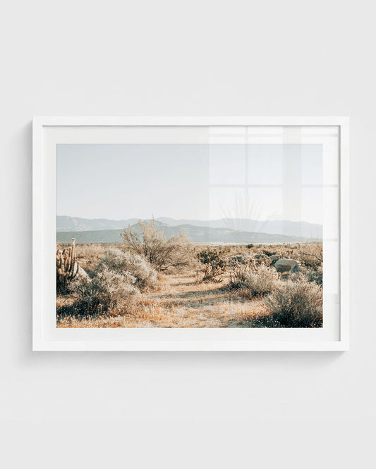California desert wall art featuring a sandy path through dry grasses, scattered cacti and shrubs, with distant mountains under a soft clear sky, framed in a white frame.