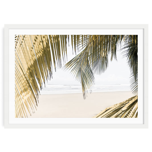 Tropical palm tree on beach with blue sky, minimalist island wall art, framed summer photography for coastal and boho home decor.