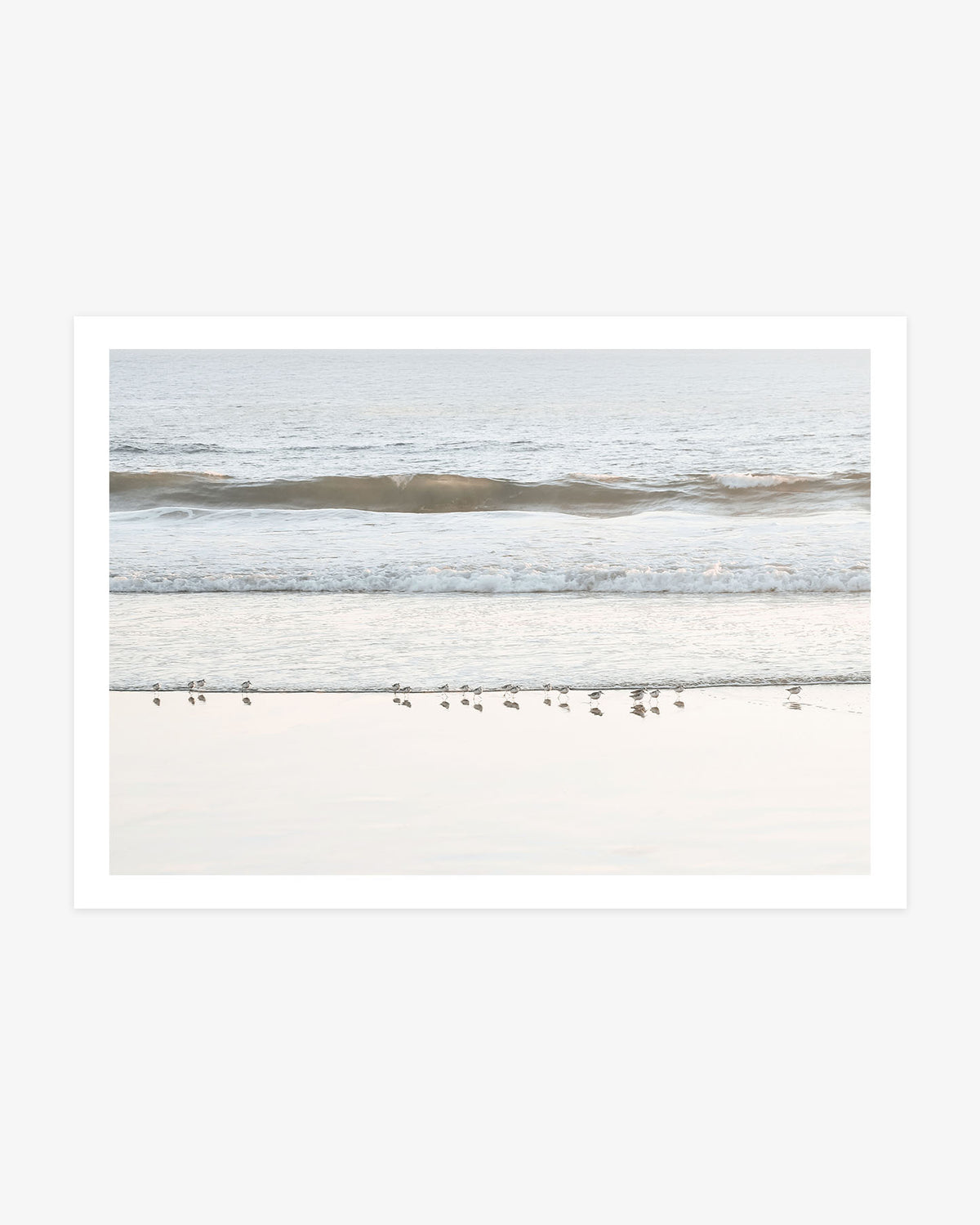 San Clemente beach wall art featuring a small flock of shorebirds gathered along the wet sand beneath gentle Pacific Ocean waves.