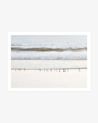 San Clemente beach wall art featuring a small flock of shorebirds gathered along the wet sand beneath gentle Pacific Ocean waves.