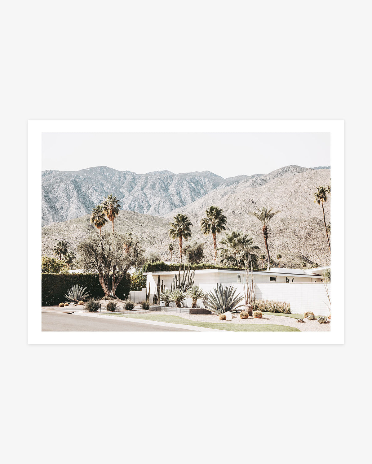 White mid-century modern Palm Springs home surrounded by agaves, cacti, palm trees, and the rugged San Jacinto Mountains.
