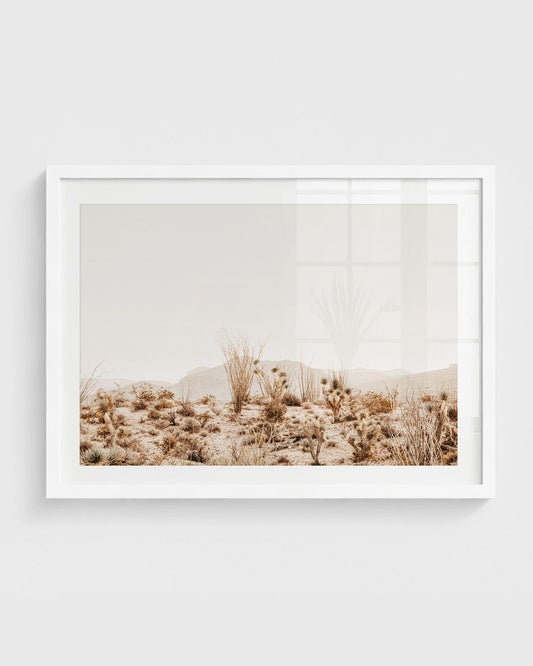 Arizona desert wall art featuring soft sandy terrain with scattered cacti and dry shrubs, distant mountains, and muted neutral tones under a hazy sky.