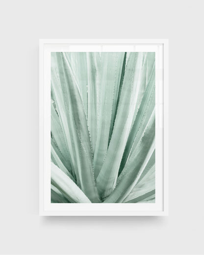 Soft Lines – Agave Plant Wall Art