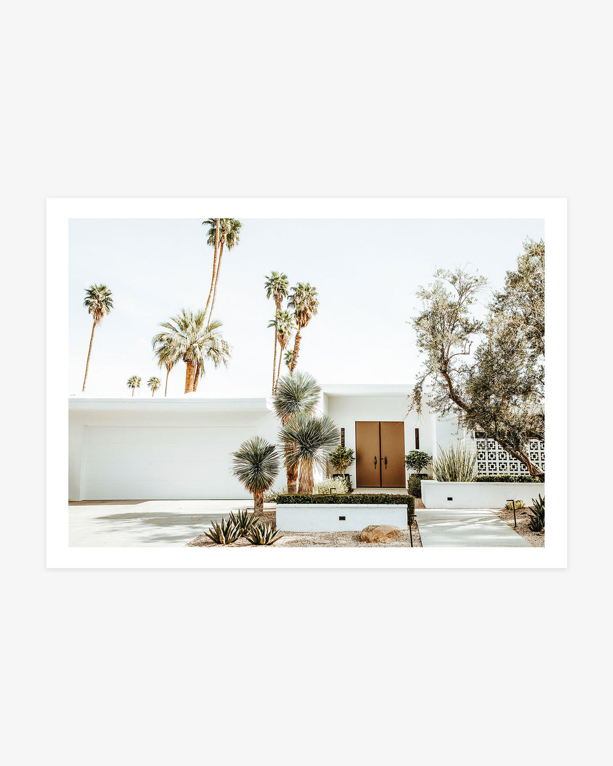 White mid-century modern home with bronze double doors, sculptural desert plants, and tall palm trees in Palm Springs.
