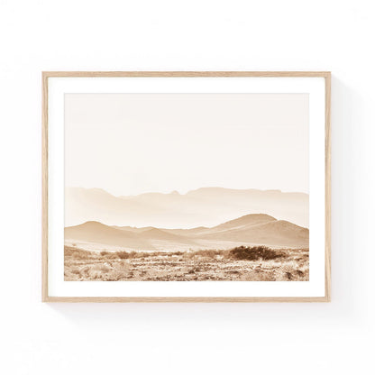 Sunlit Valley