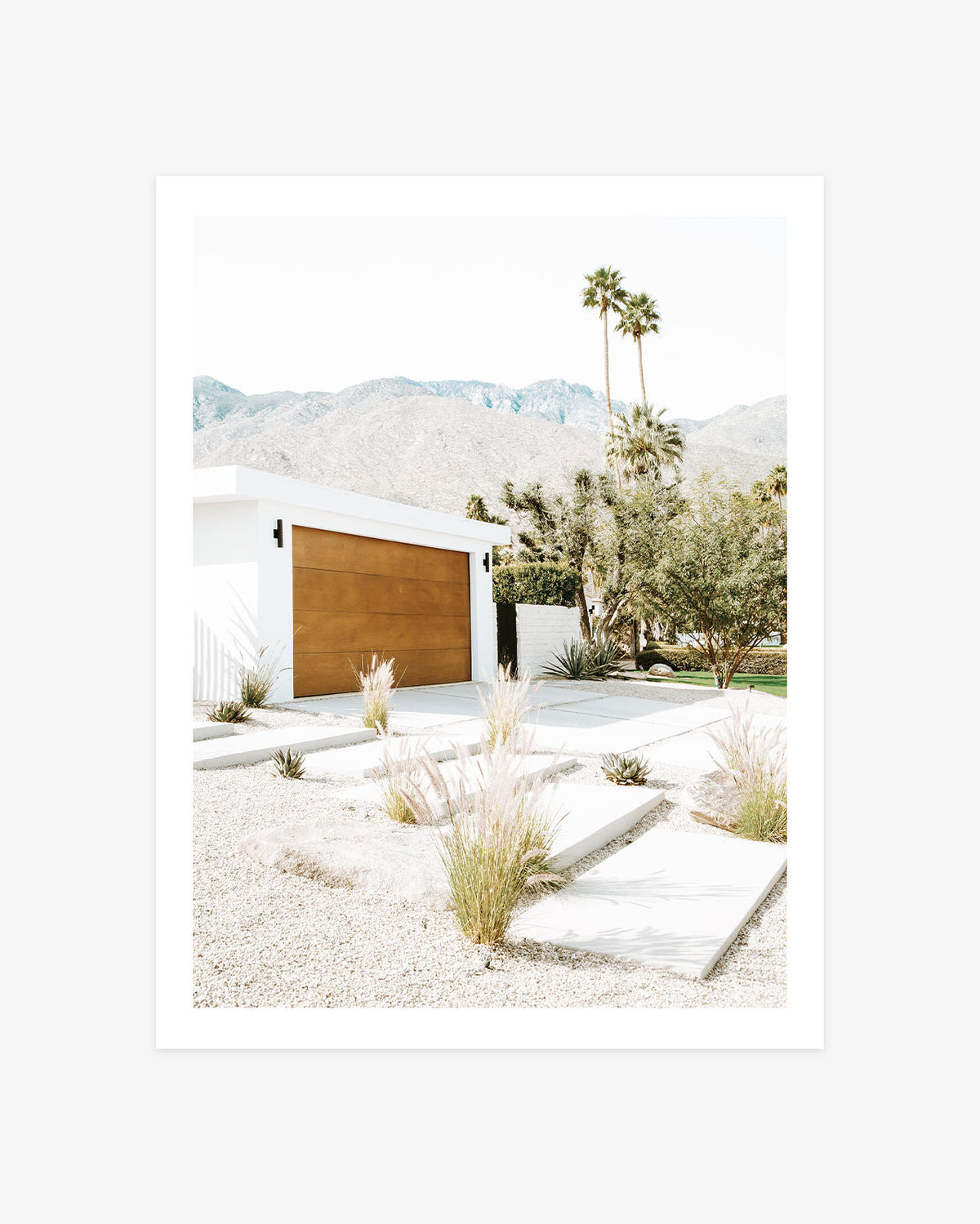 Palm Springs mid-century modern home photography with desert landscaping, palm trees, and San Jacinto Mountains in soft neutral tones.