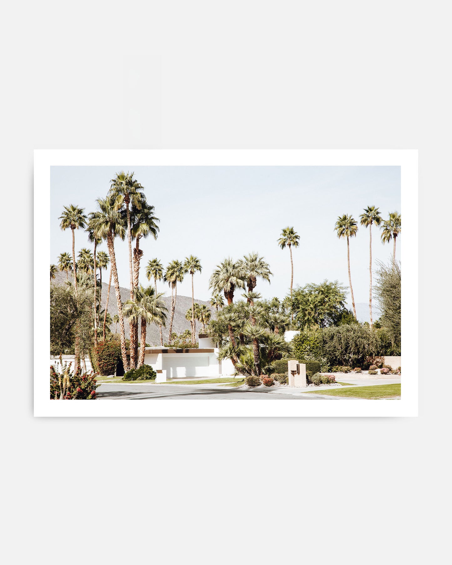 PALM RETREAT