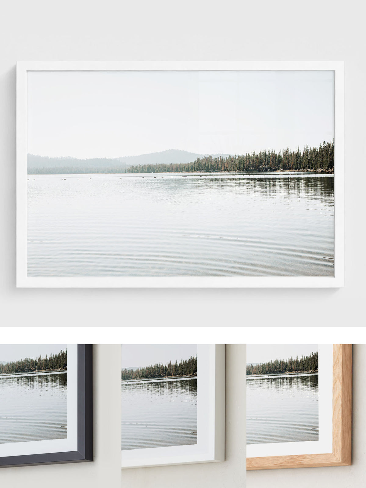 Across Quiet Water