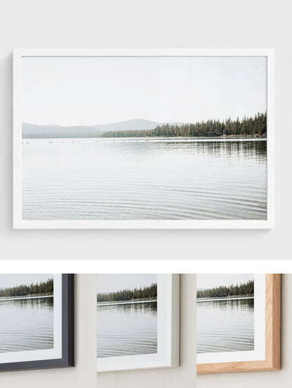Across Quiet Water