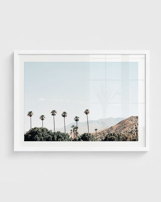 Palm Springs wall art featuring tall palm trees rising above desert greenery with mountain ranges in the background under a clear blue sky, framed in a white frame.