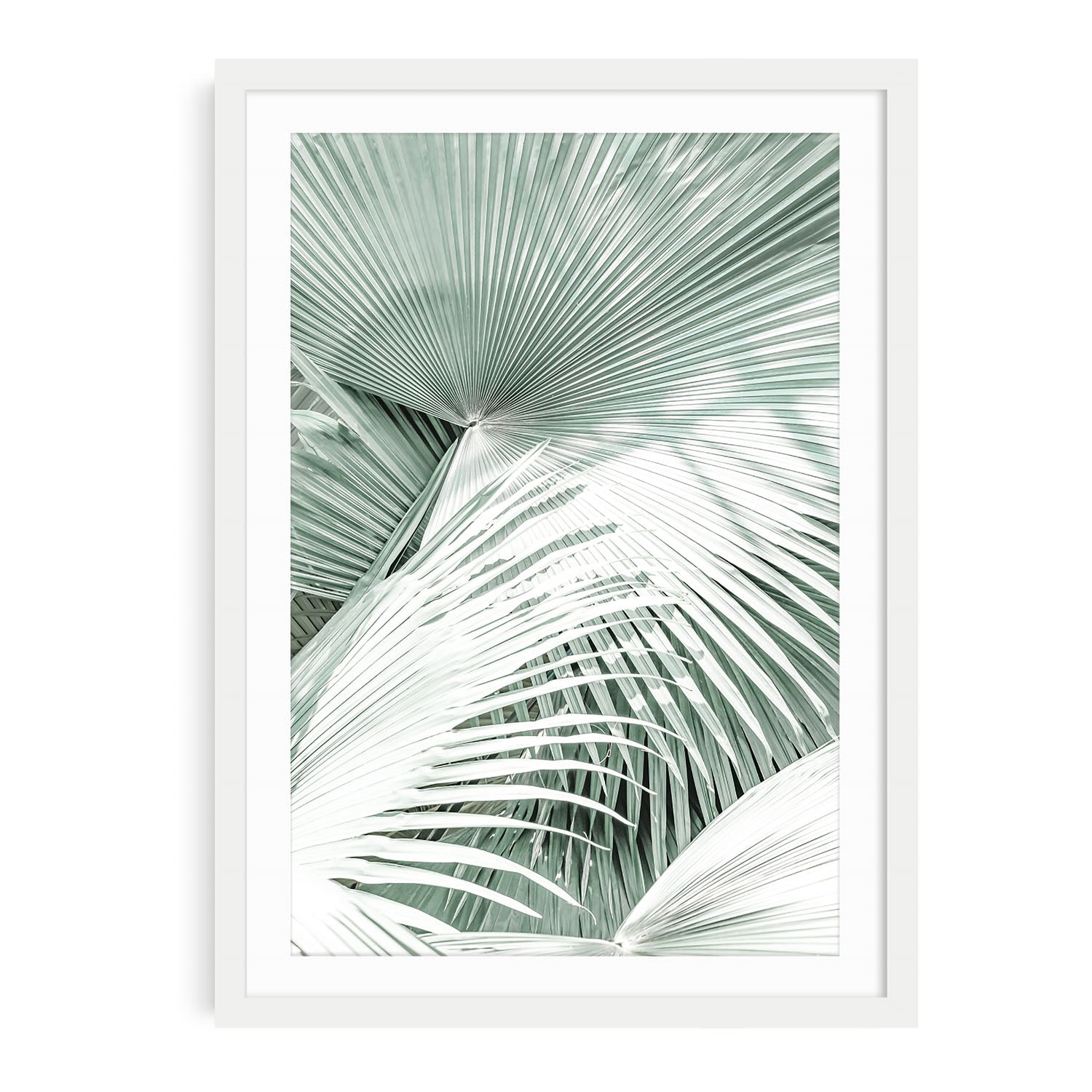 Framed boho palm tree wall art featuring soft mint green tones and tropical foliage in a minimalist coastal photography style, perfect for beach decor.