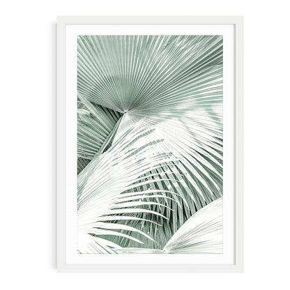 Framed boho palm tree wall art featuring soft mint green tones and tropical foliage in a minimalist coastal photography style, perfect for beach decor.