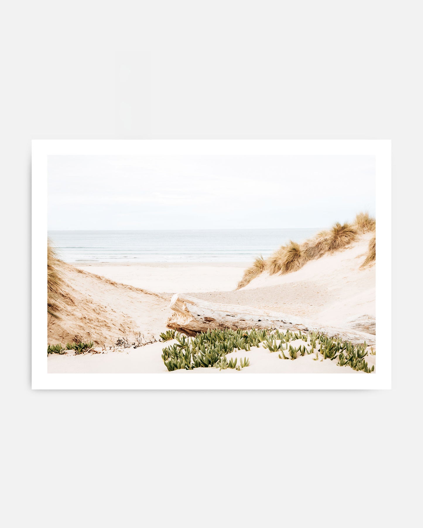 Dune Passage – Morro Bay Beach Wall Art