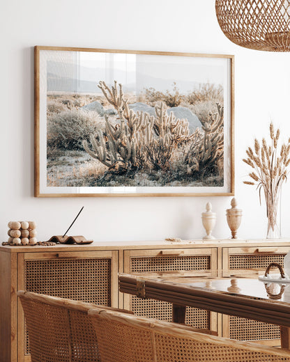 Cactus Texture – California Desert Wall Art