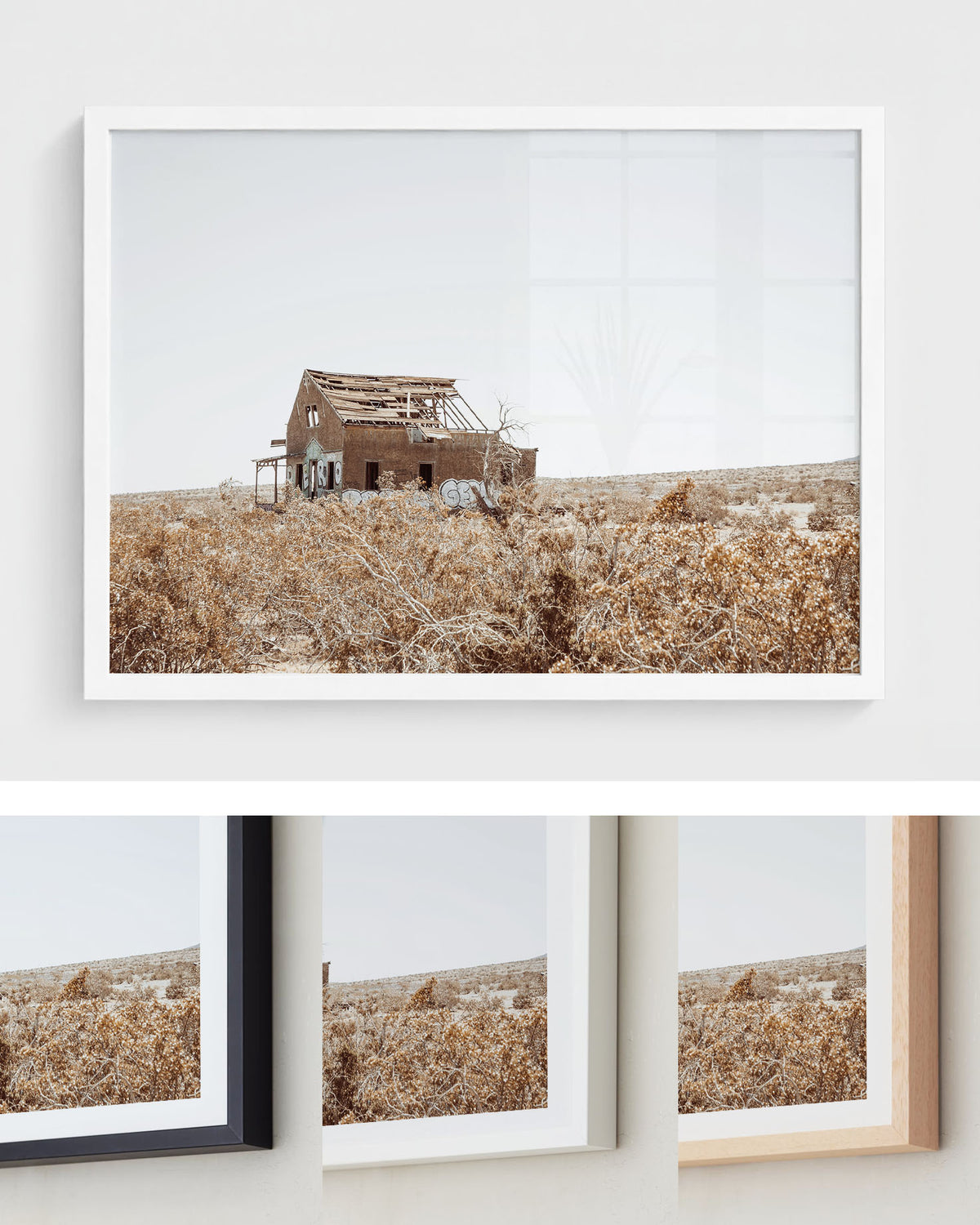 Lost Desert Homestead