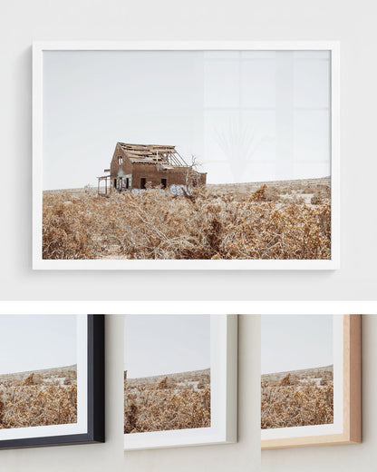 Lost Desert Homestead