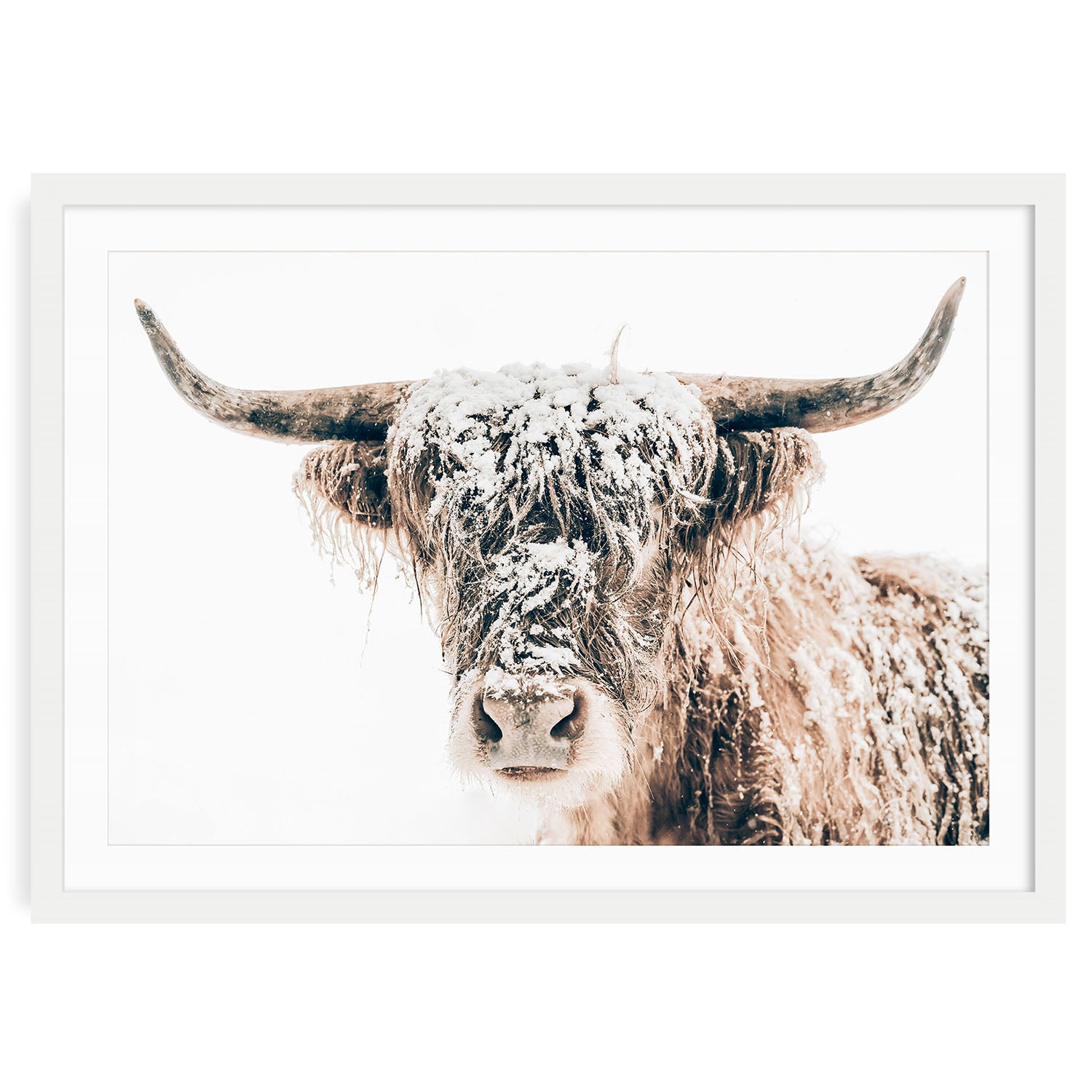 Framed horizontal Highland cow wall art print in neutral brown tones with rustic winter background, ideal for farmhouse or cozy country-style living rooms