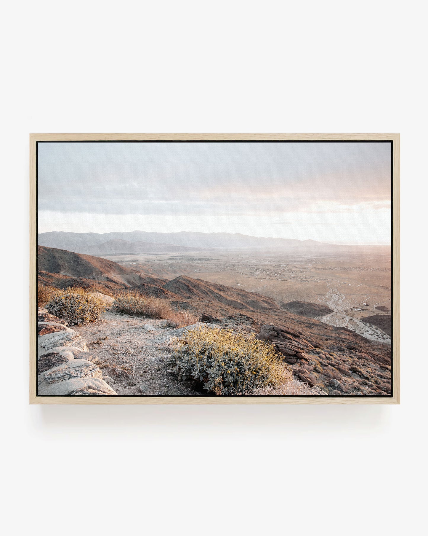 Montezuma Horizon
