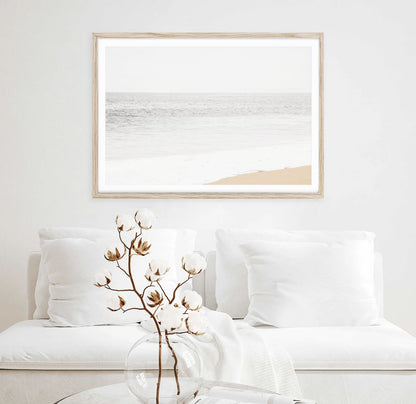 MUTED COAST