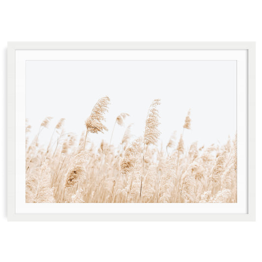 Soft beige pampas grass swaying in the breeze, minimalist coastal wall art in neutral tones, landscape nature photography print for modern living room decor.