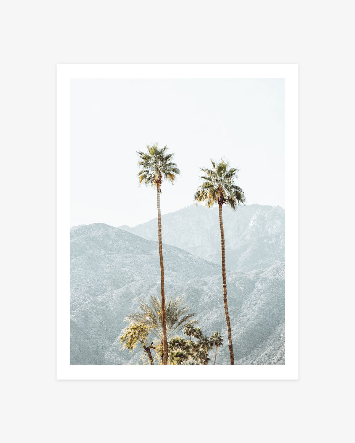 Palm Springs photography featuring two tall palm trees against soft blue-gray San Jacinto Mountains in a minimalist desert landscape.