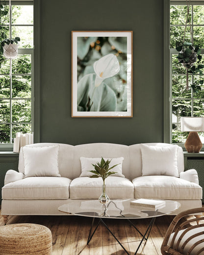 Quiet Bloom – Calla Lily Wall Art