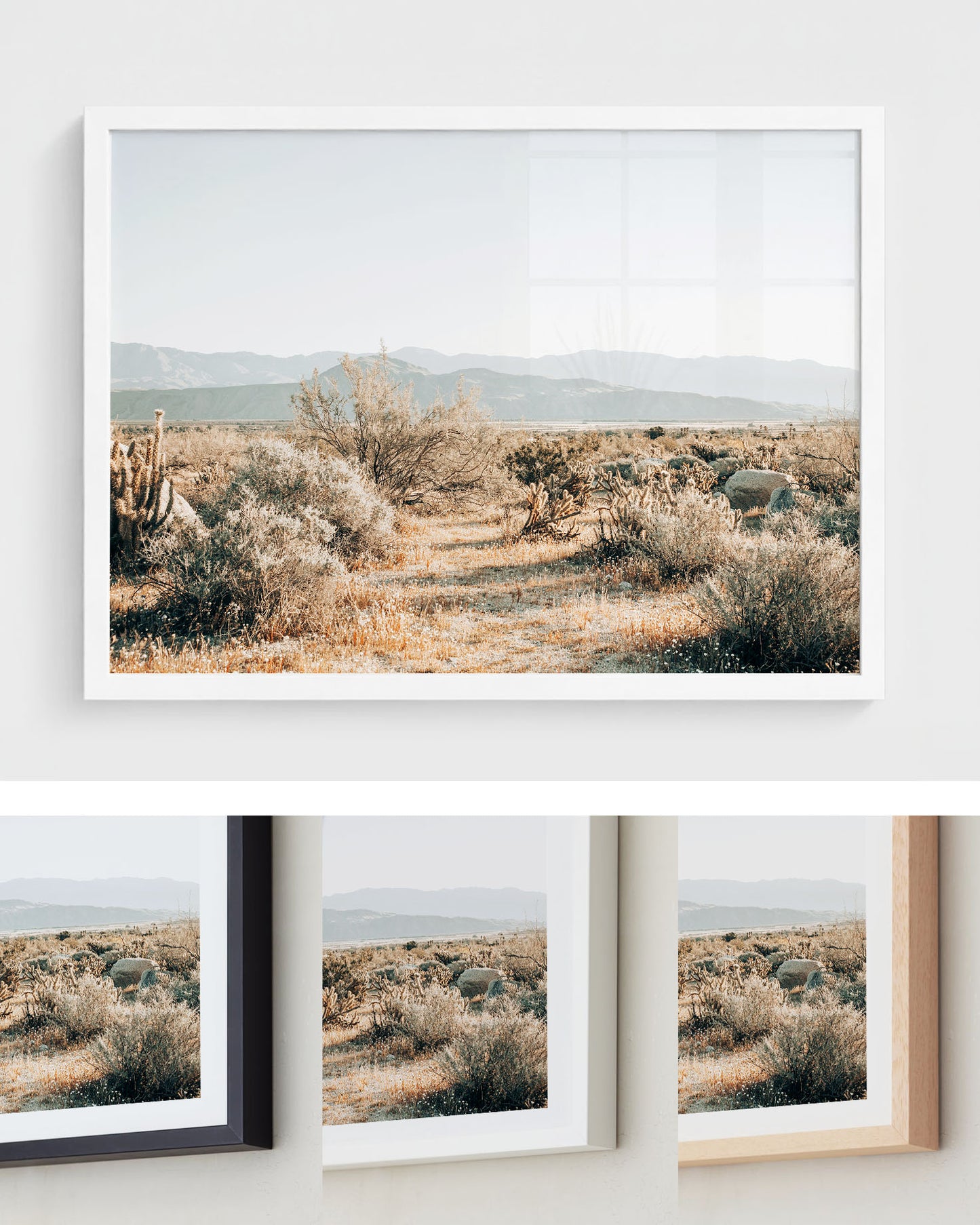 Desert Stillness