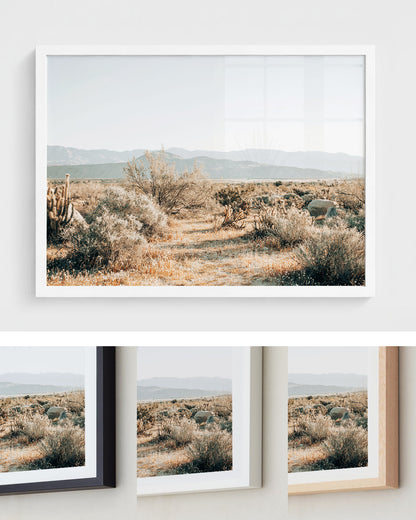 Desert Stillness