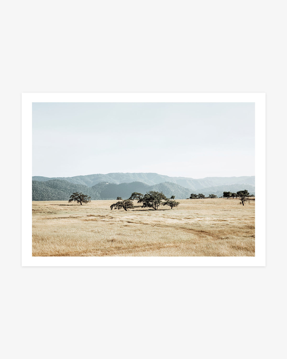 Minimalist landscape photography of golden grassland, scattered oak trees and soft mountain layers under a pale blue sky.