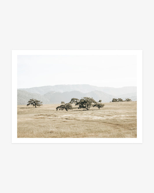 Santa Ynez Valley wall art featuring scattered oak trees across golden California grasslands with softly layered mountains in the distance.