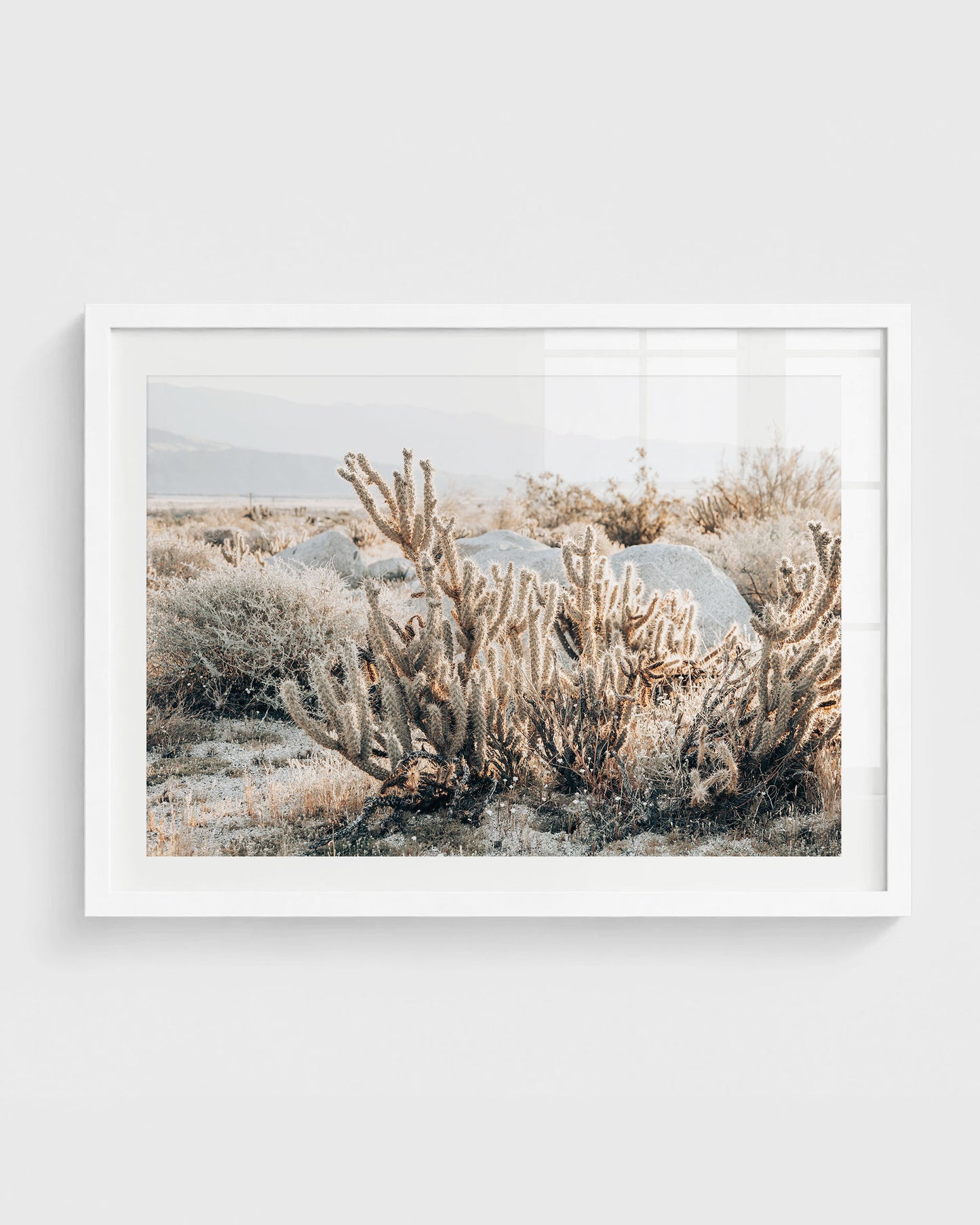 California desert wall art featuring a close view of cholla cactus with soft spines, surrounded by dry grasses and large boulders with distant mountains, framed in a white frame.