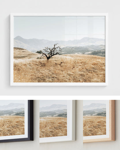 Golden Terrain