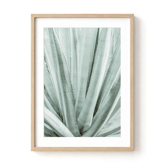 Botanical Symmetry
