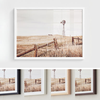 Windmill Meadow