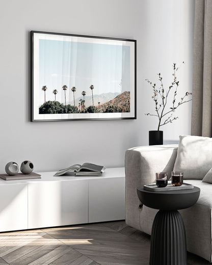 Sunny Grove – Palm Springs Wall Art