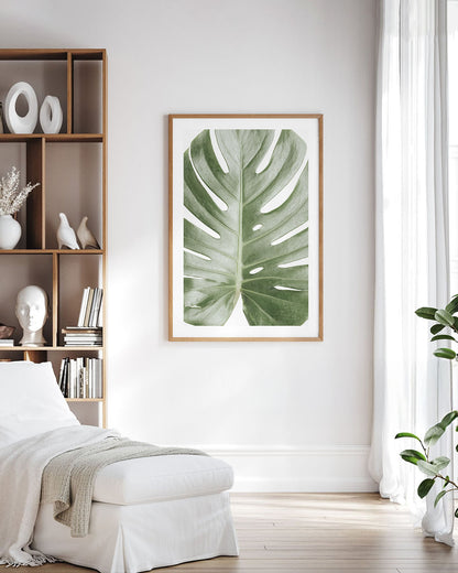 MONSTERA LEAF